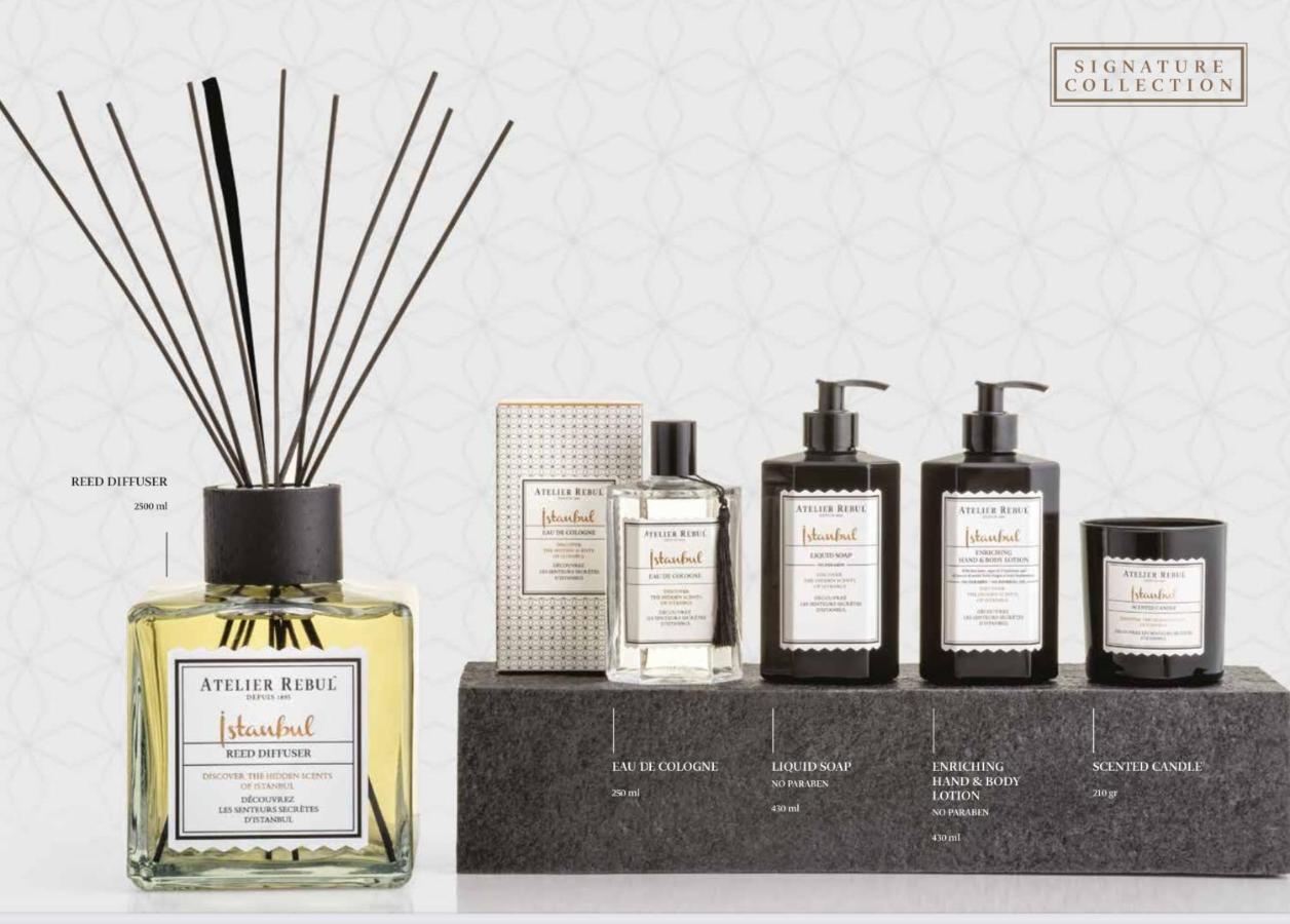 La Maison Bleue Juillac  Екстериор снимка